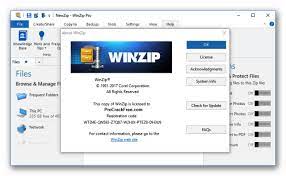 WinZip Pro Crack Keygen